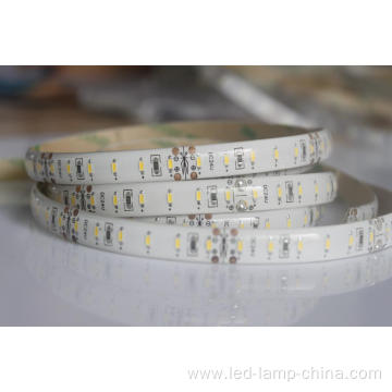 Hot Free Sample Waterproof IP65 SMD3014 LED Strip Light